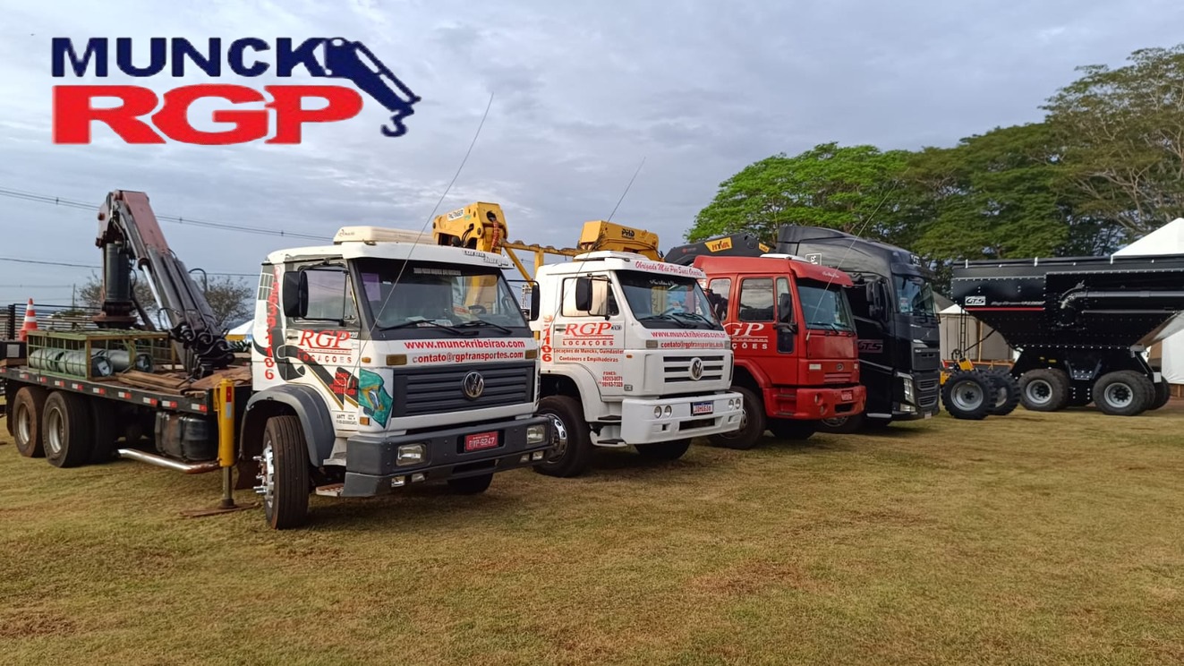 Guincho Munck em Ribeirão Preto